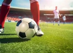 福建队以,分优势击败,广州队,pg286娱乐,pg286娱乐入口,pg286娱乐官网,pg286娱乐官方入口,pg286娱乐官方网址