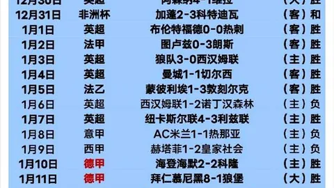 2025年春节：足球之国共度欢乐佳节